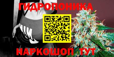 ECSTASY Ирбит