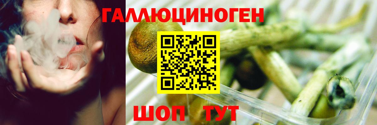 Ишим  Псилоцибиновые грибы Cubensis  Вход с VPN 